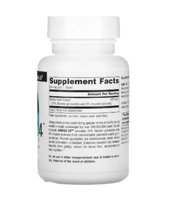 Source Naturals, Ginkgo-24, 120 mg, 120 Tablets