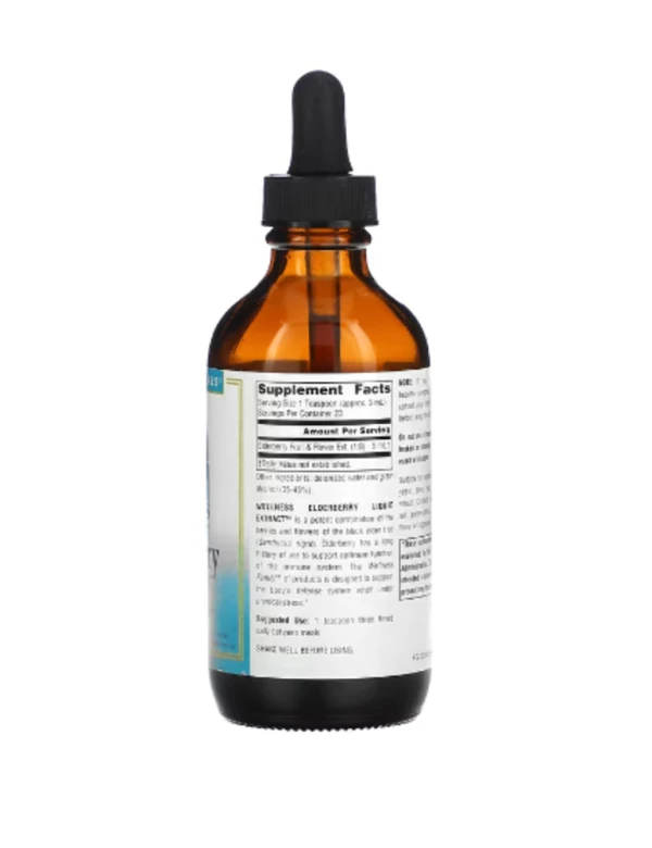 Source Naturals, Wellness, Elderberry Liquid Extract, 4 fl oz (118.28 ml)