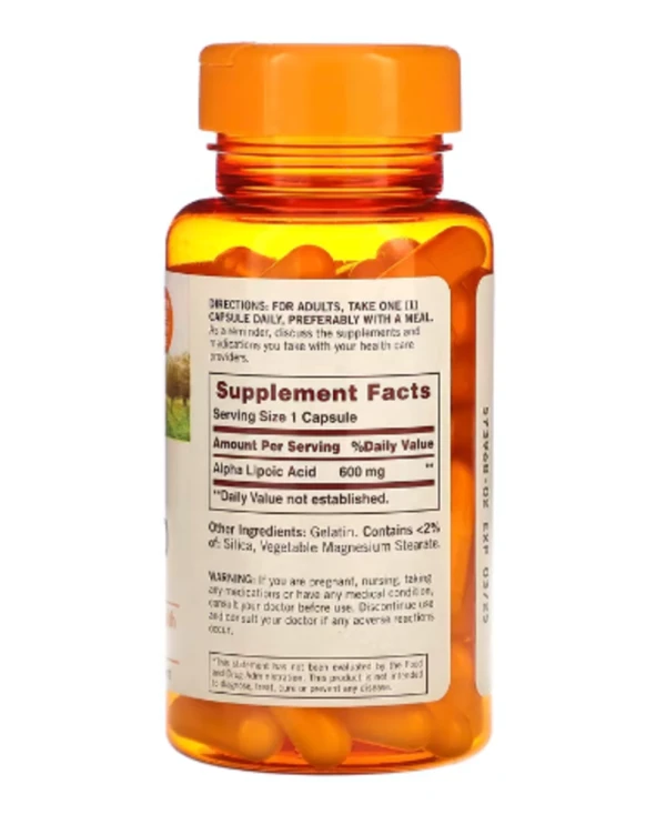 Sundown Naturals, Alpha Lipoic Acid, 600 mg, 60 Capsules